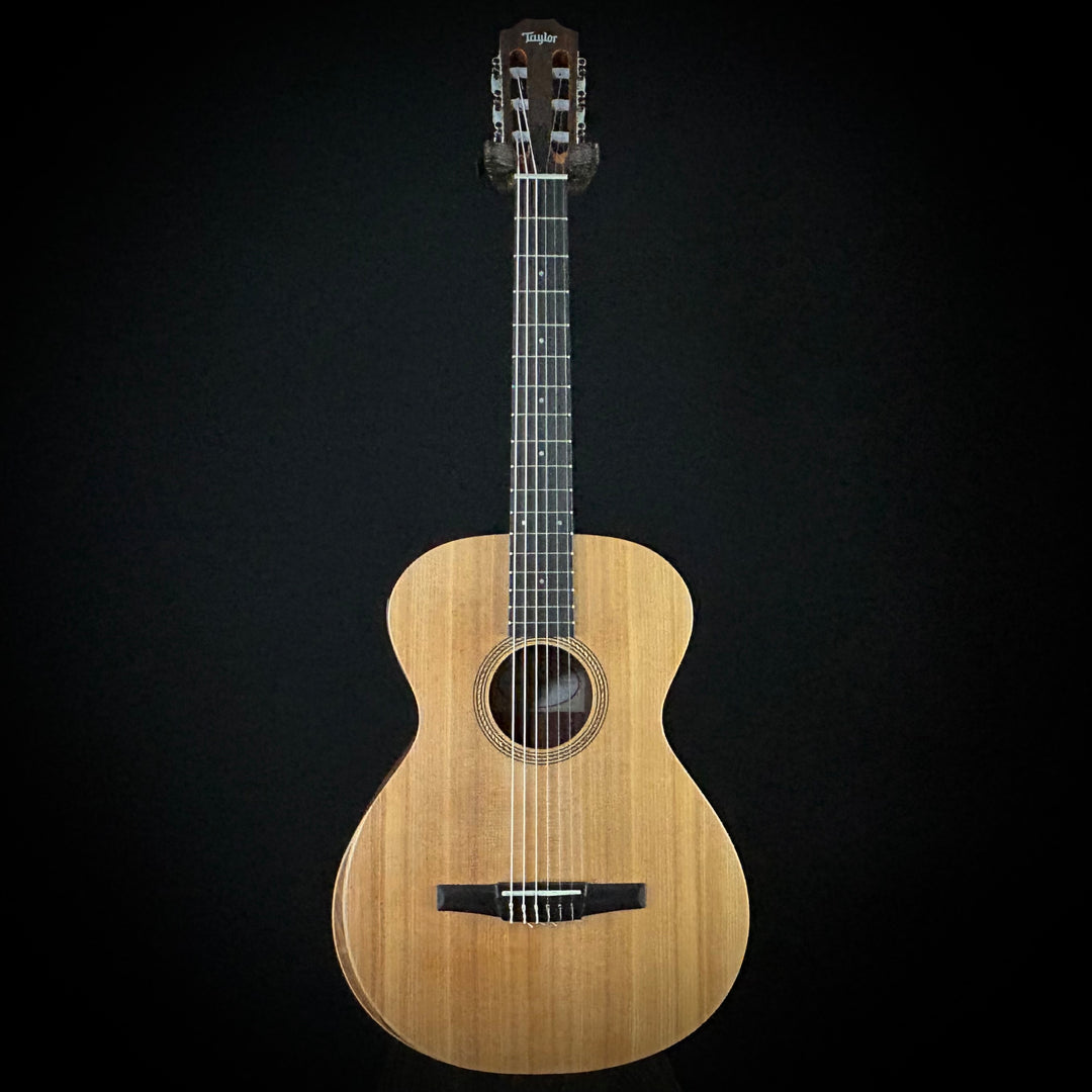 Taylor Academy 12e-Nylon