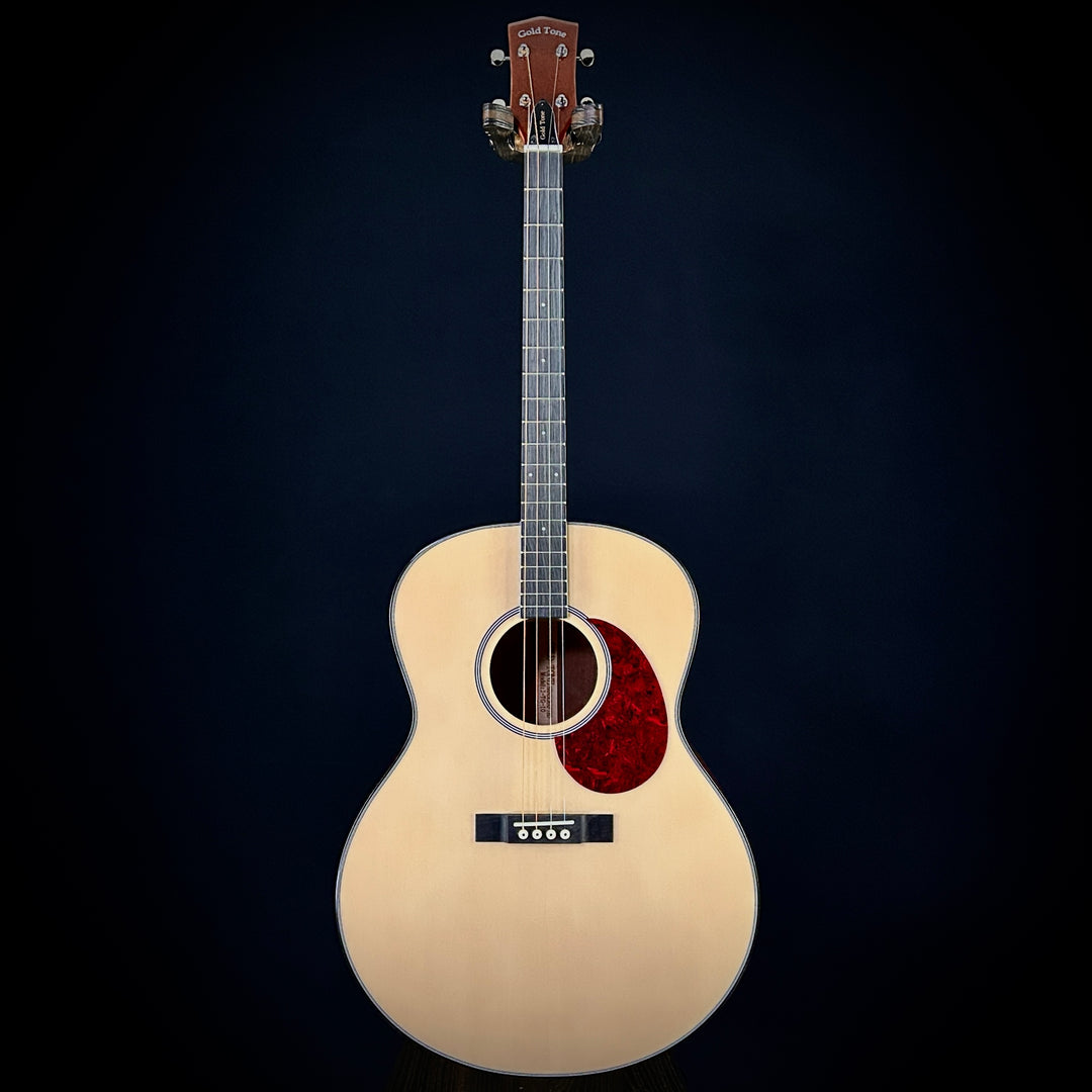 Gold Tone Tenor Guitar