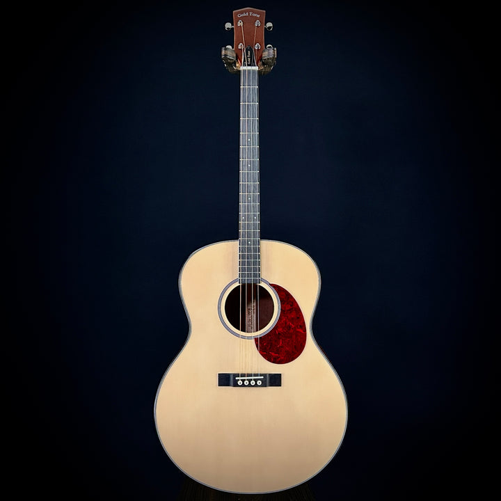 Gold Tone Tenor Guitar