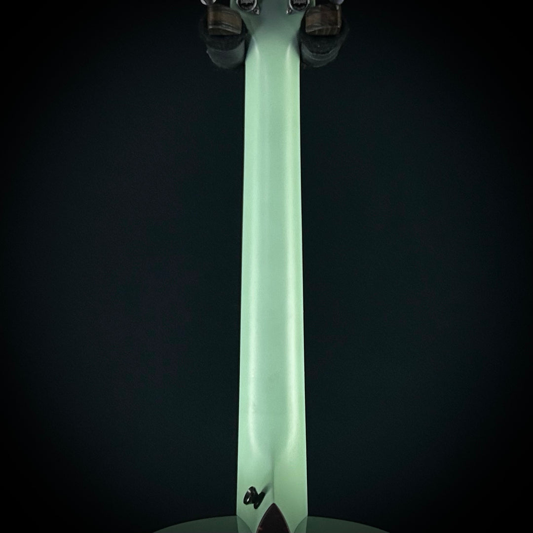 Taylor Custom #7 C14e - Fern Green