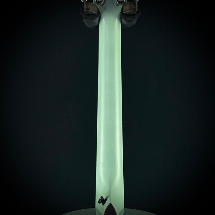 Taylor Custom #7 C14e - Fern Green