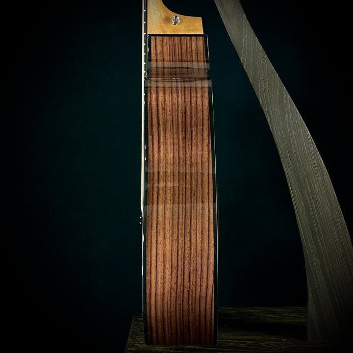 Taylor 254ce Plus - 12-String
