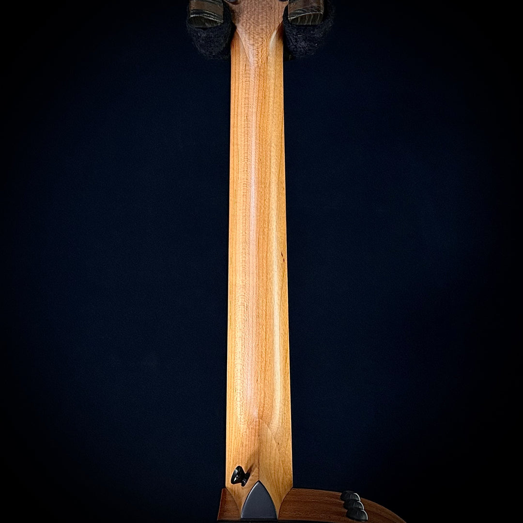 Taylor 112CE - Sapele