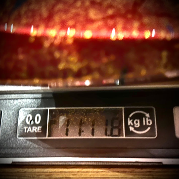 Gibson NAMM 2026 “RIPPED and TORN” EDS-1275 Double Neck