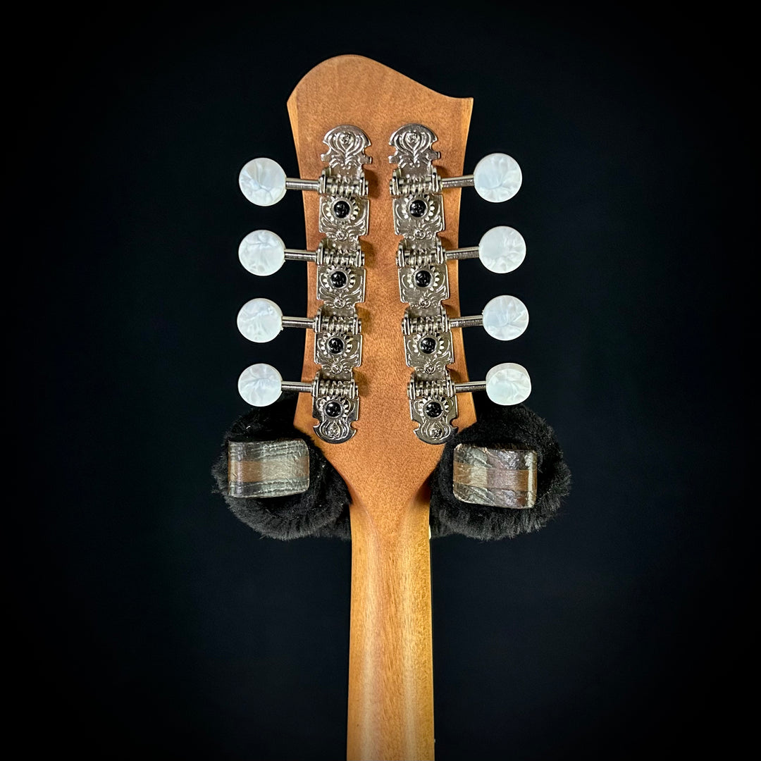 Eastman PCH-M104 - Gold Burst
