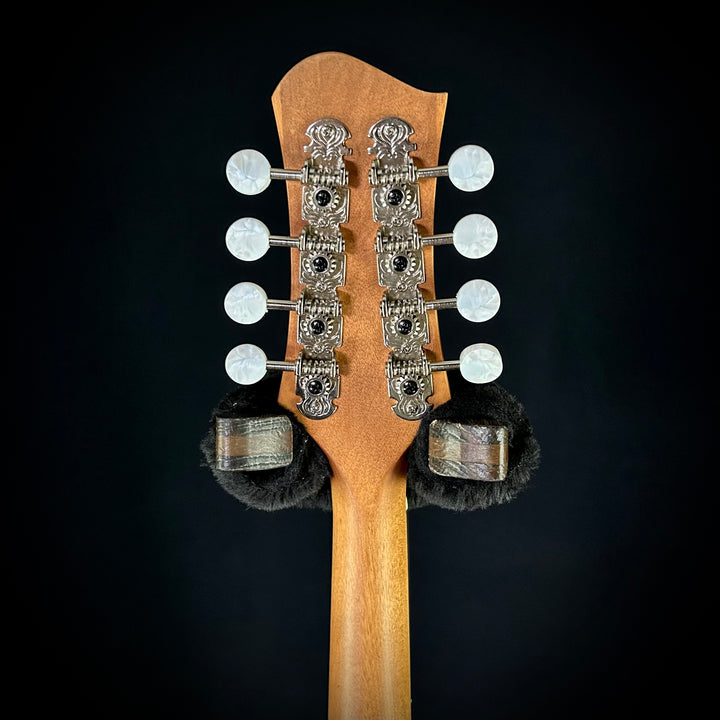 Eastman PCH-M104 - Gold Burst