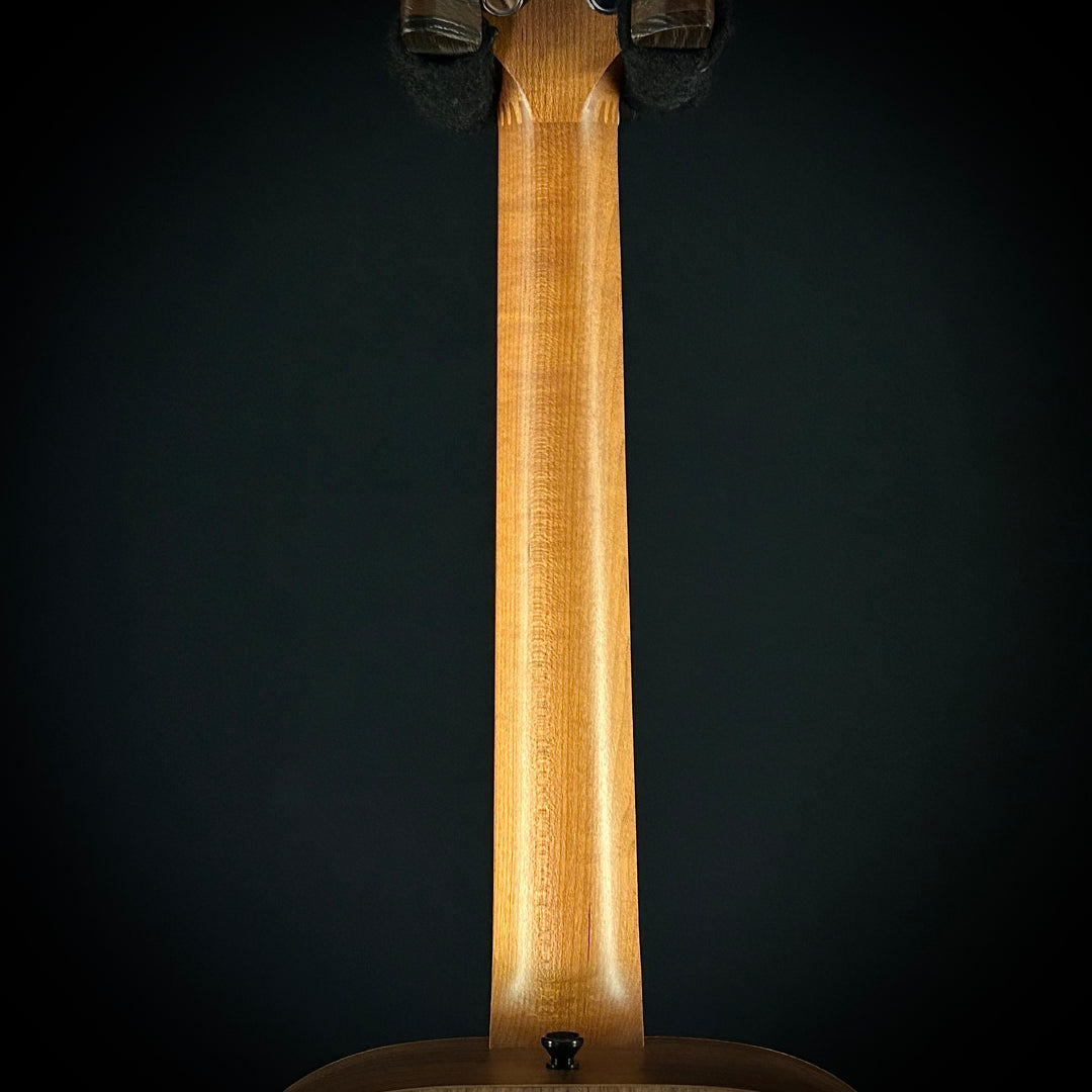 Taylor BT1 - Lefty