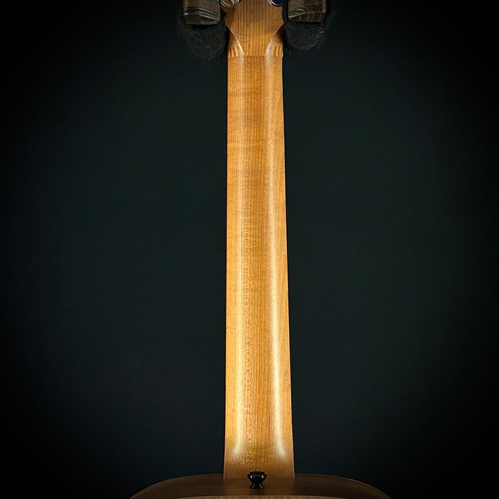 Taylor BT1 - Lefty