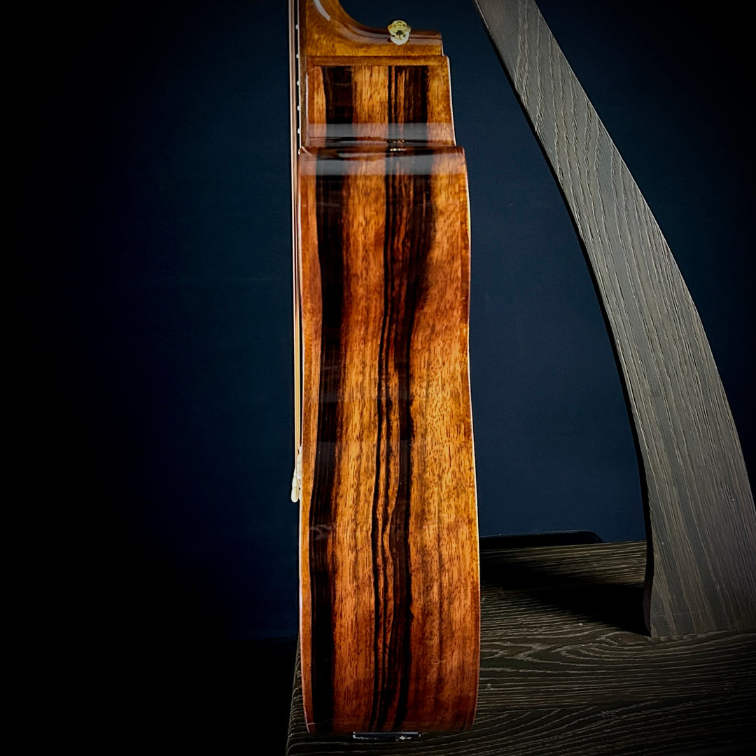 Ortega Private Room Collection  - 4-String Bass