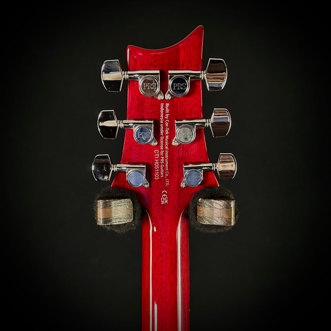 PRS SE DGT Standard