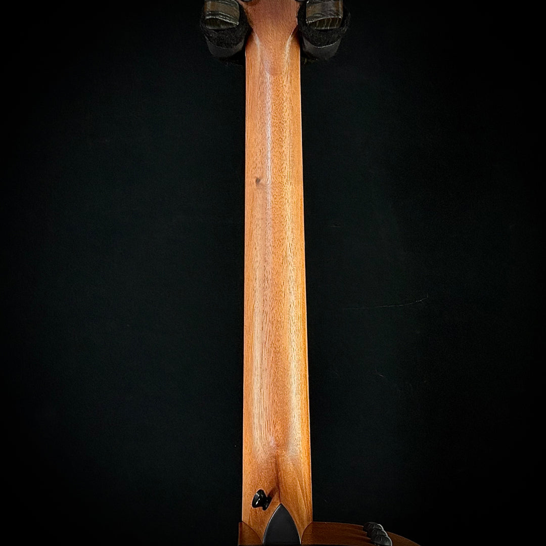 Taylor 114ce - Sapele