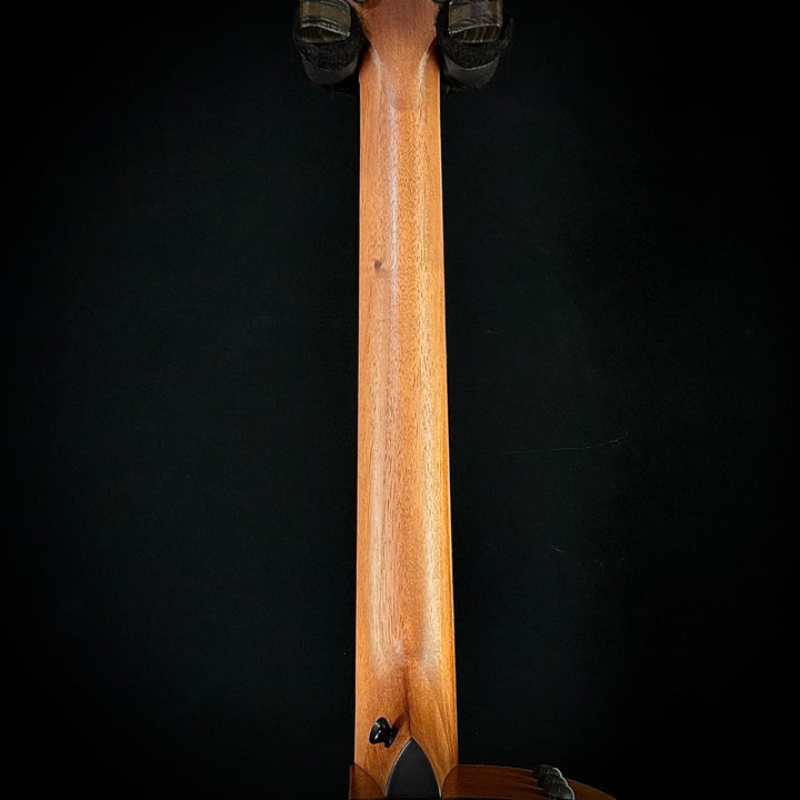 Taylor 114ce - Sapele