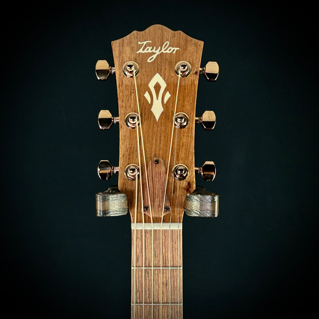 Taylor Ben Harper Gold Label 512E