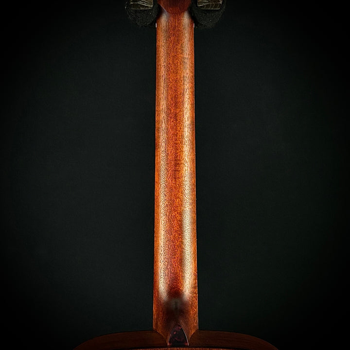 Eastman E1D