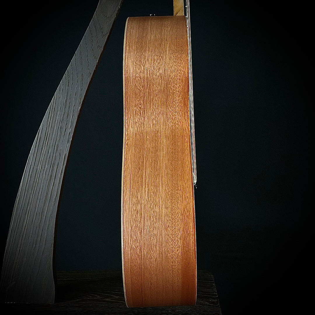 Taylor 24CE - Mahogany Top