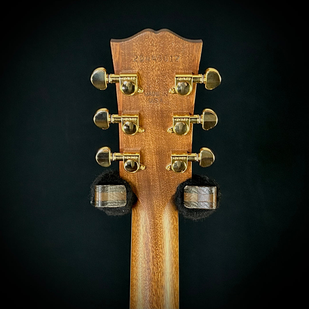 Gibson Parlor Rosewood EC - Rosewood Burst