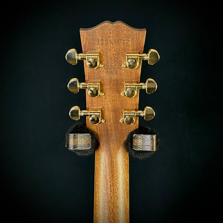 Gibson Parlor Rosewood EC - Rosewood Burst