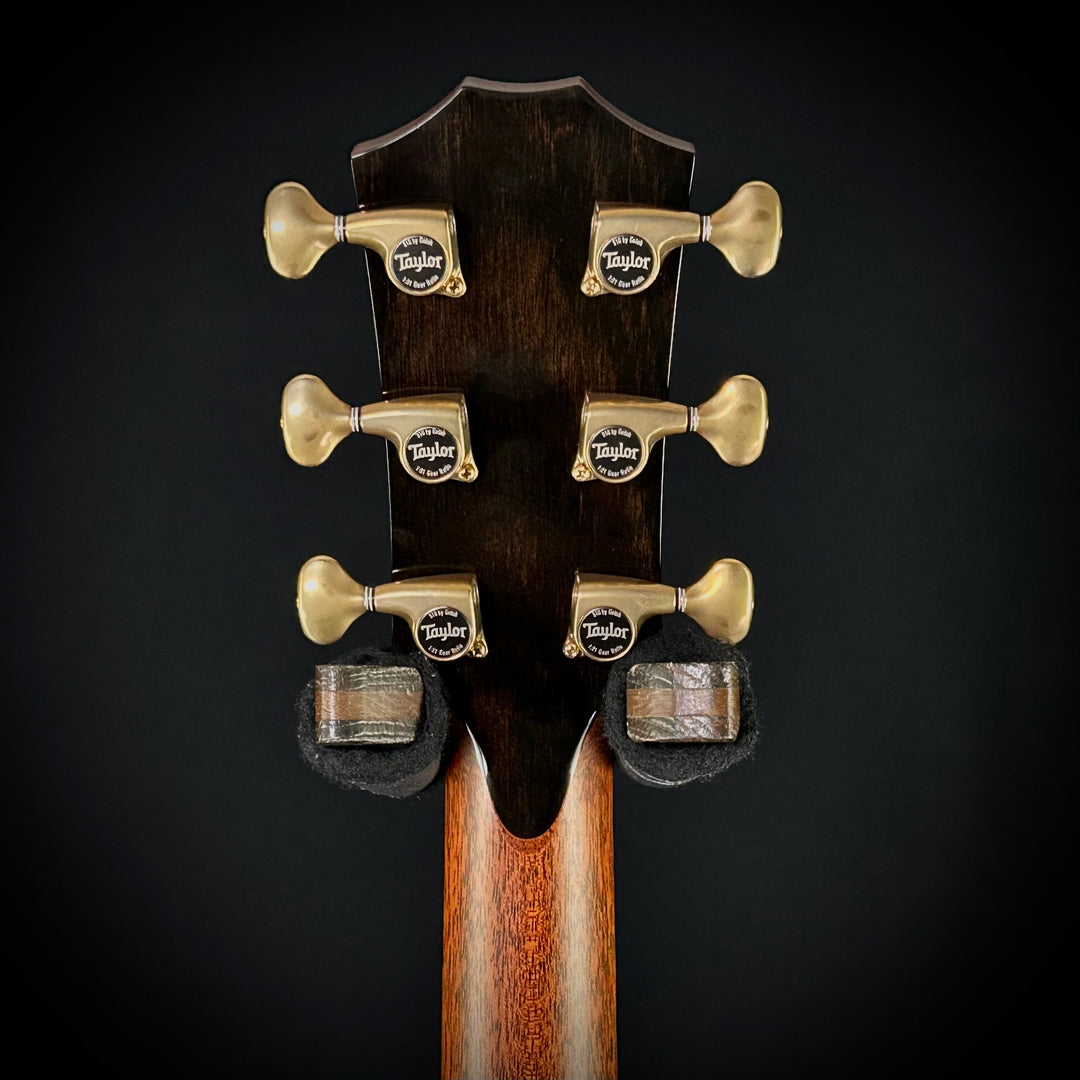 Taylor PS14ce (USED)