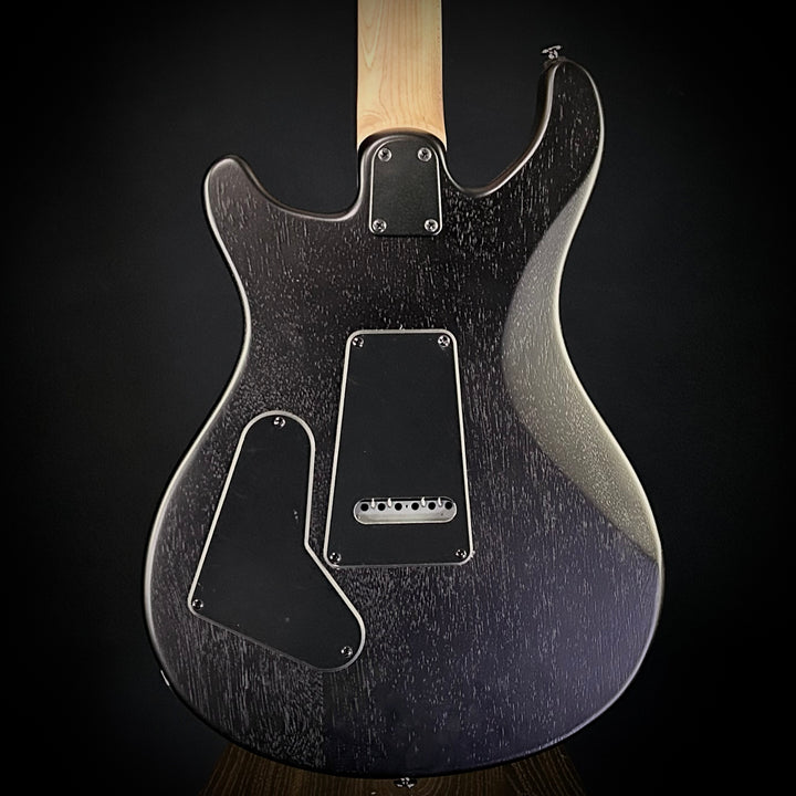 PRS SE Swamp Ash CE 24 Sandblasted