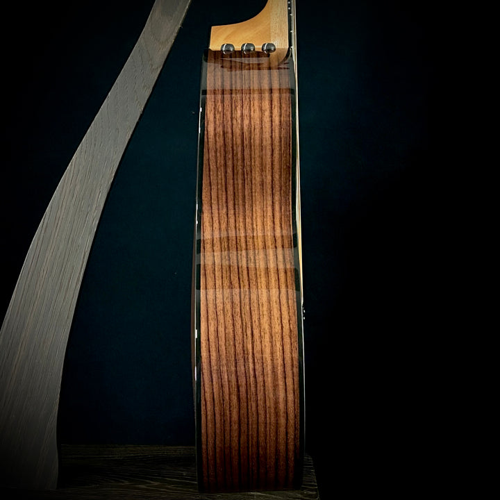 Taylor 254ce Plus - 12-String