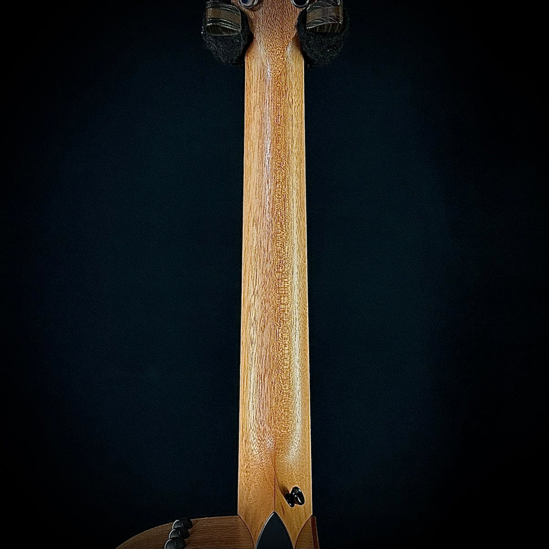 Taylor 150CE - Lefty