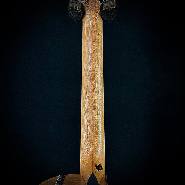 Taylor 150CE - Lefty