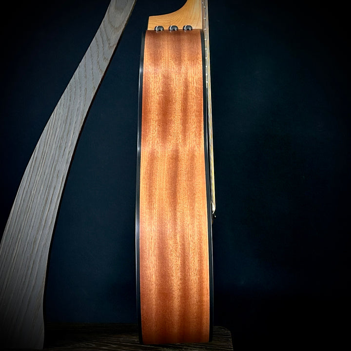 Taylor 114ce - Sapele