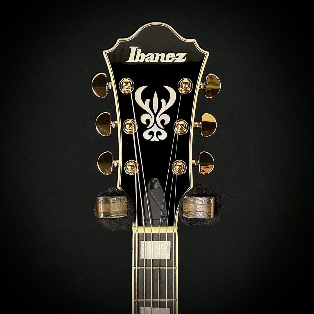 Ibanez Artcore Expressionist AG95K