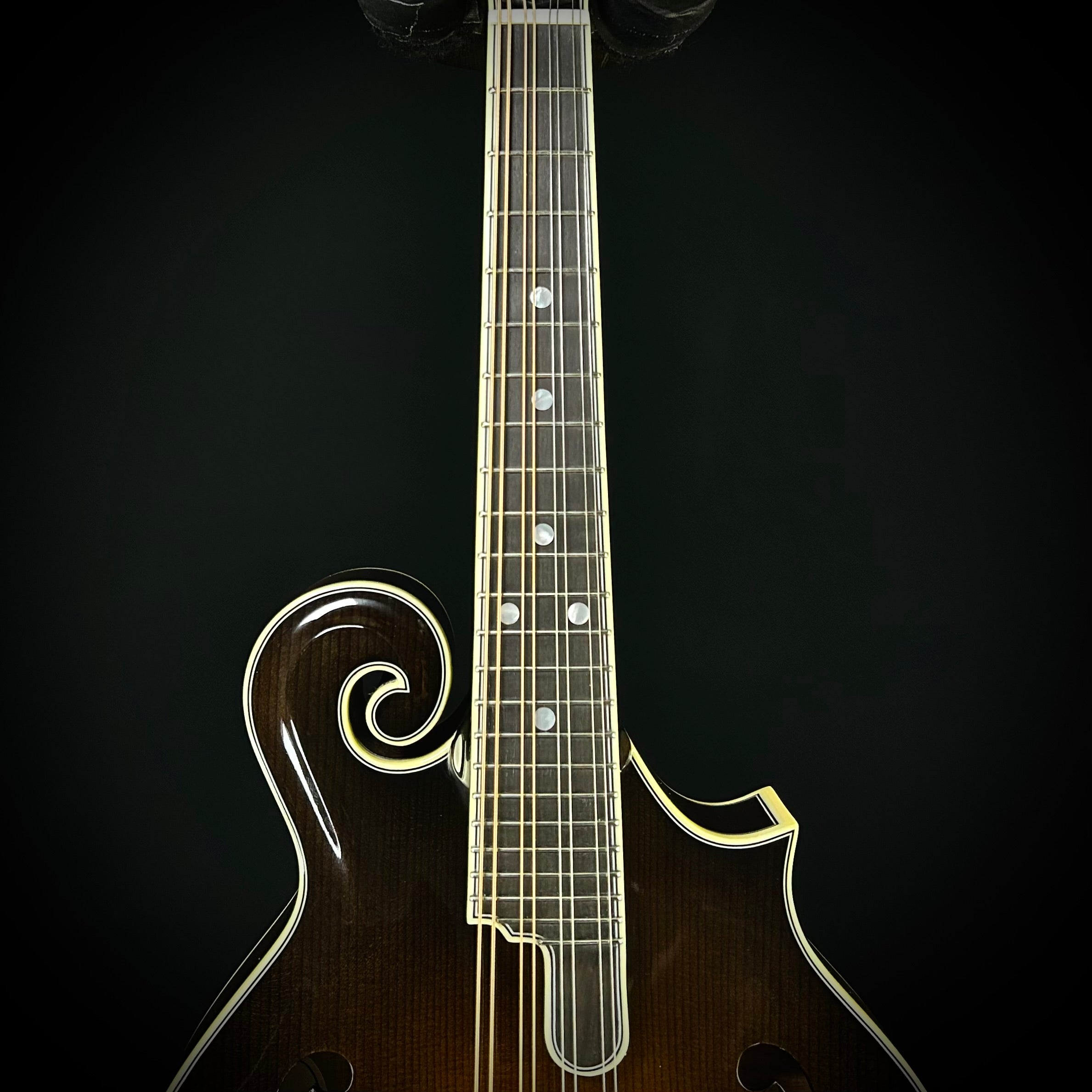 Bourgeois M5-F Sunburst – Music Villa MT