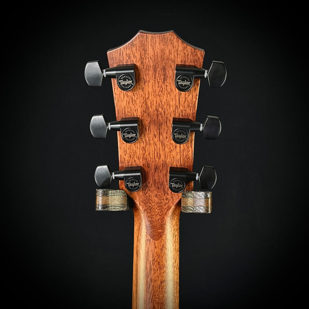 Taylor MV Custom Baritone - Grand Auditorium