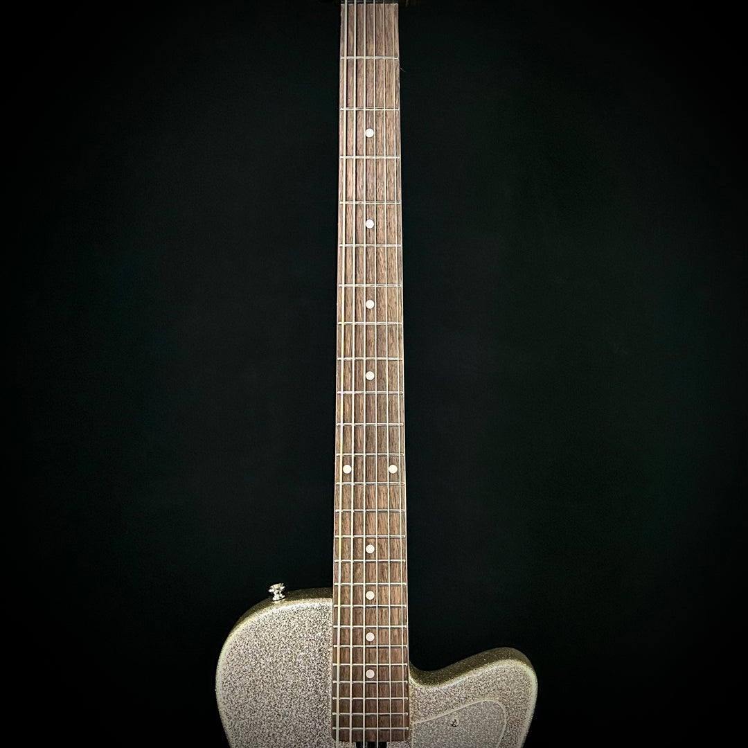 Silvertone 1373 Baritone