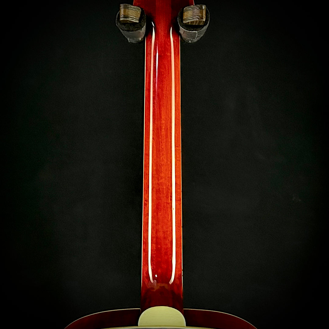 Eastman MDC804 - Mandocello