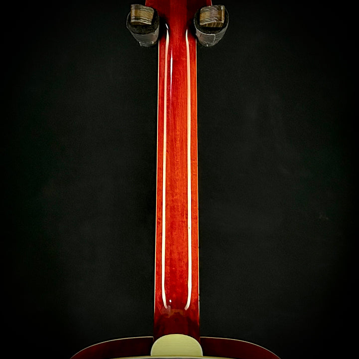Eastman MDC804 - Mandocello