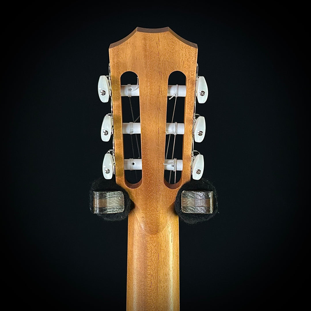 Taylor Academy 12E Nylon String
