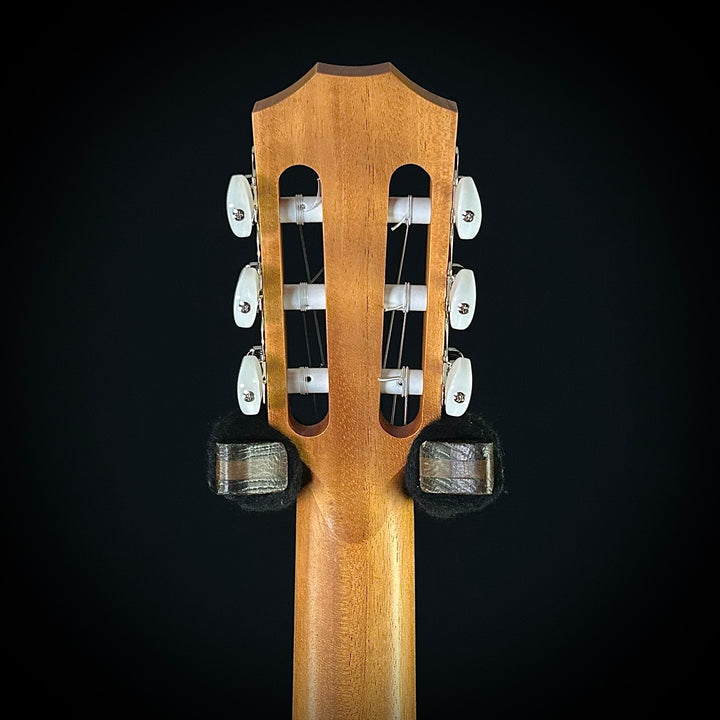 Taylor Academy 12E Nylon String