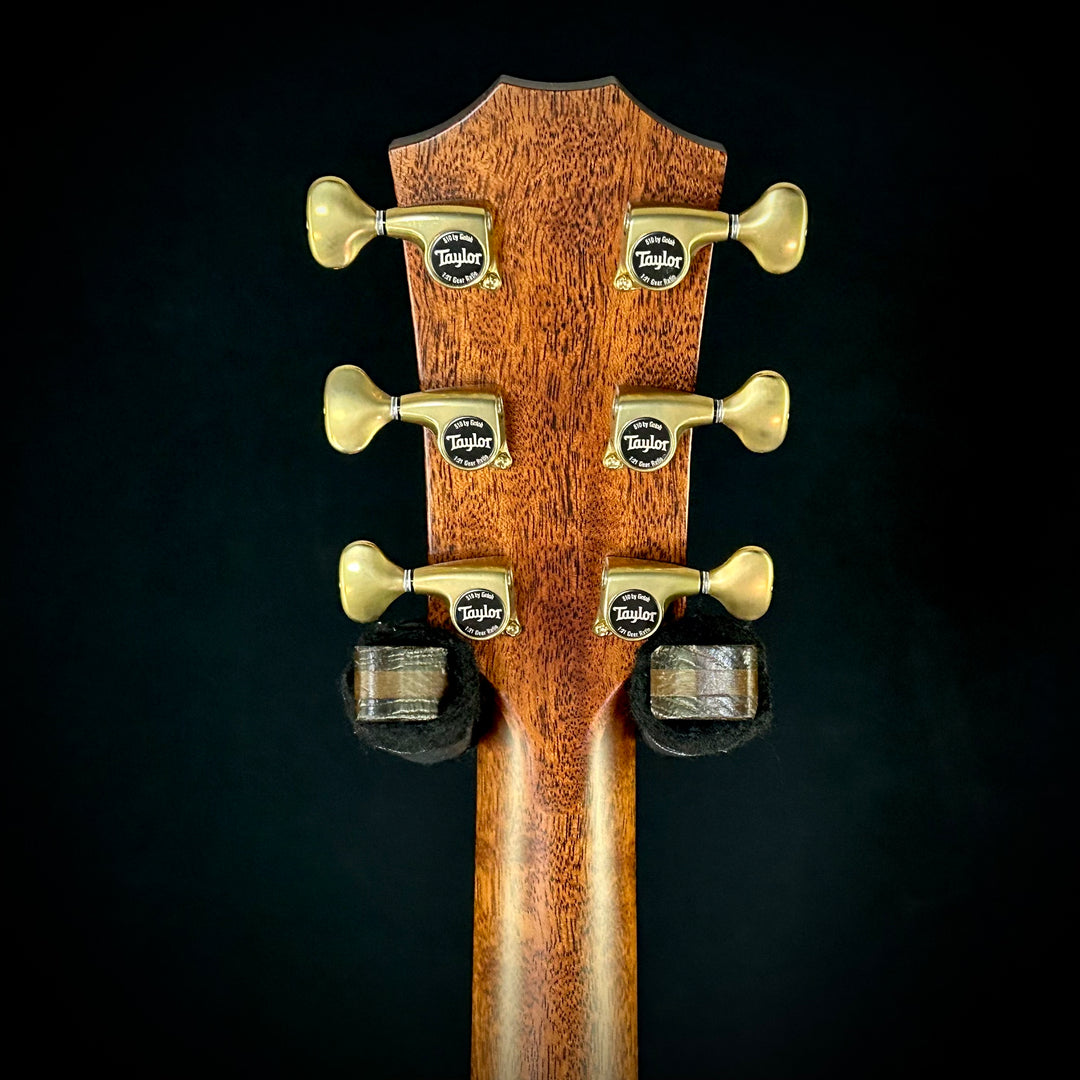 Taylor Builder's Edition 814CE LTD - Macassar Ebony