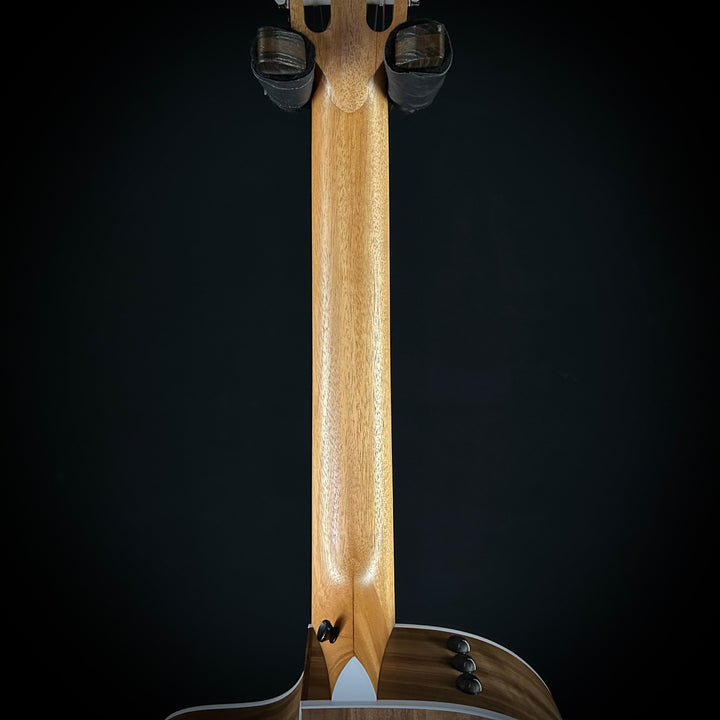 Taylor 214CE - Nylon