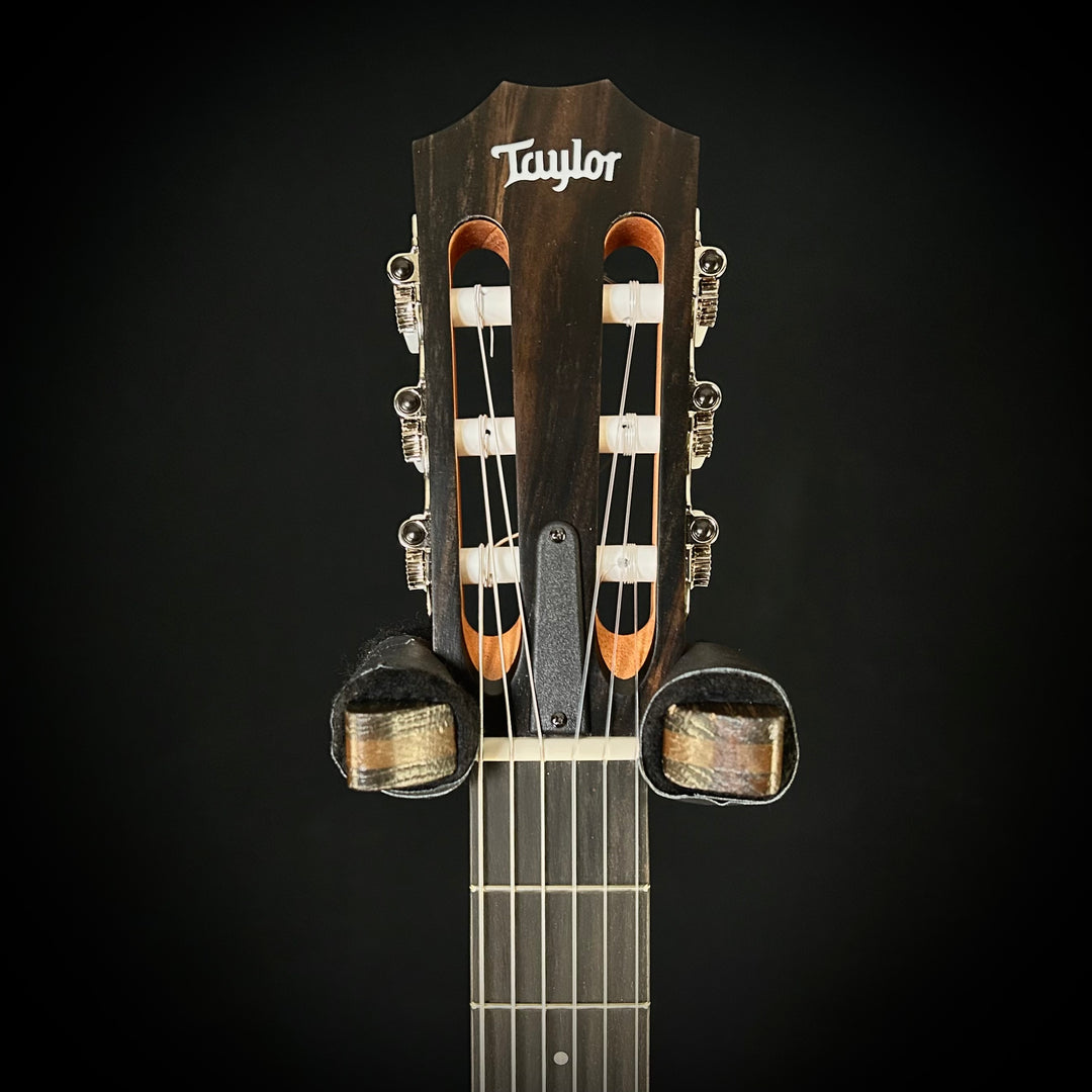 Taylor 214CE - Nylon