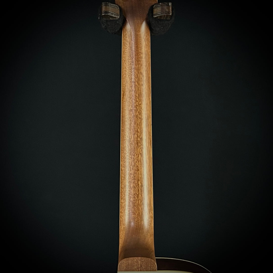 Gibson Parlor Rosewood EC - Rosewood Burst