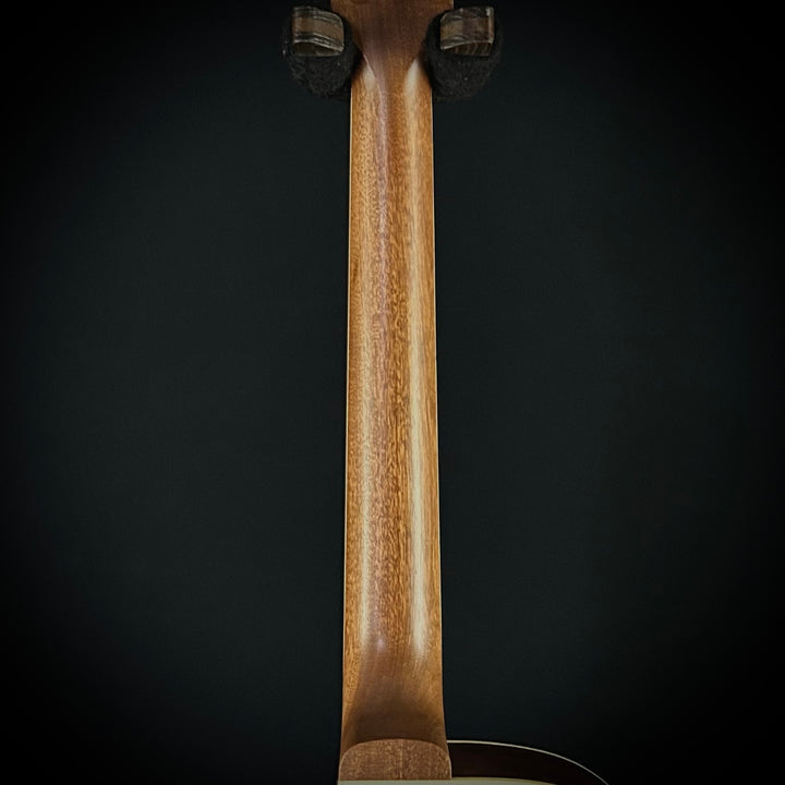 Gibson Parlor Rosewood EC - Rosewood Burst