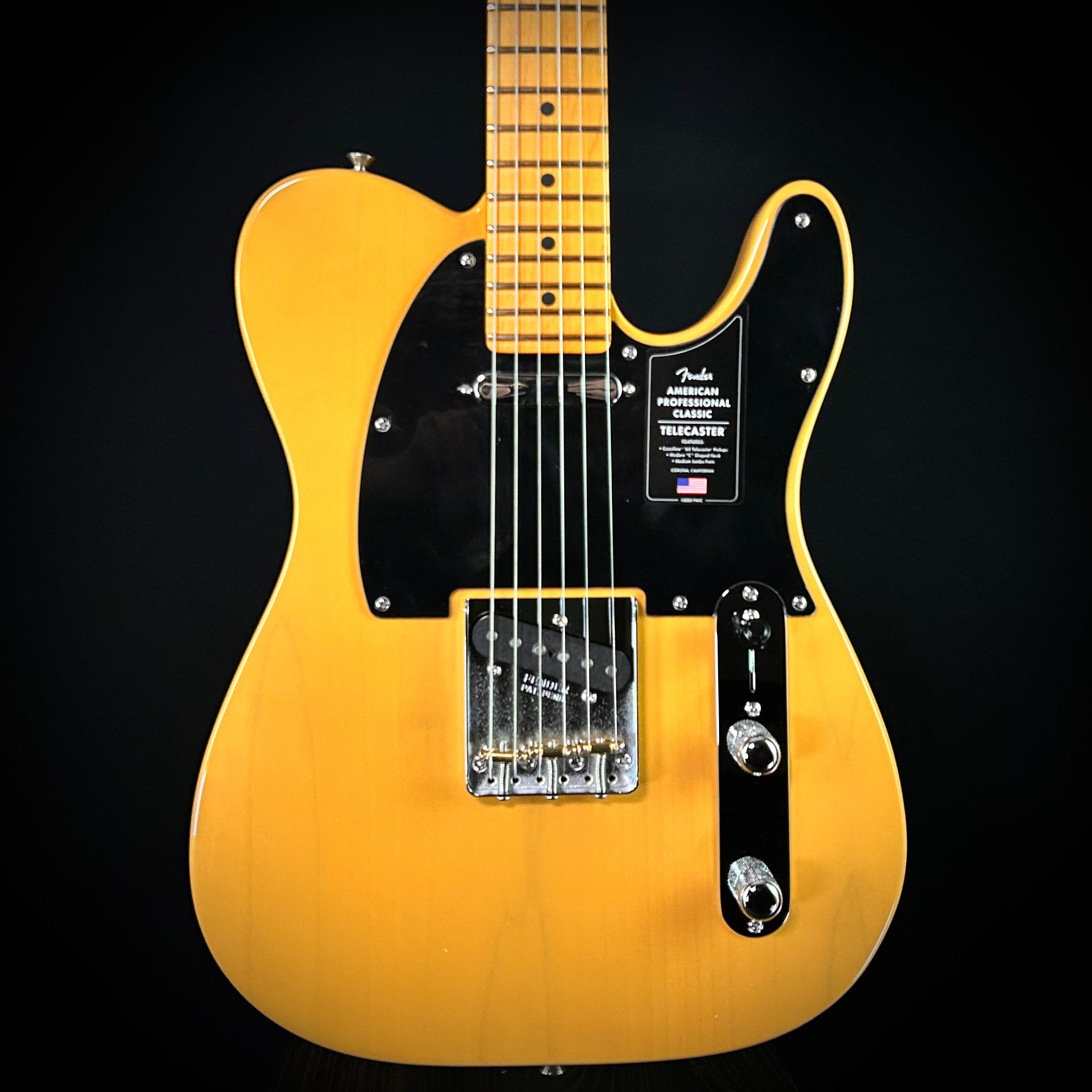 Fender American Professional Classic Telecaster – Music Villa MT