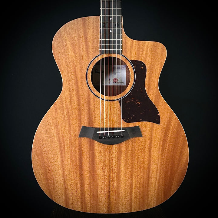 Taylor 24CE - Mahogany Top