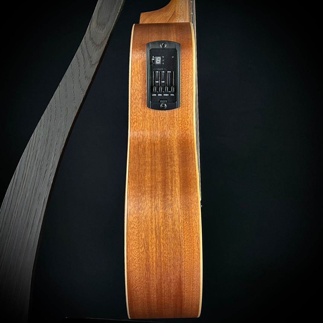 Taylor GS Mini-E Trans Black
