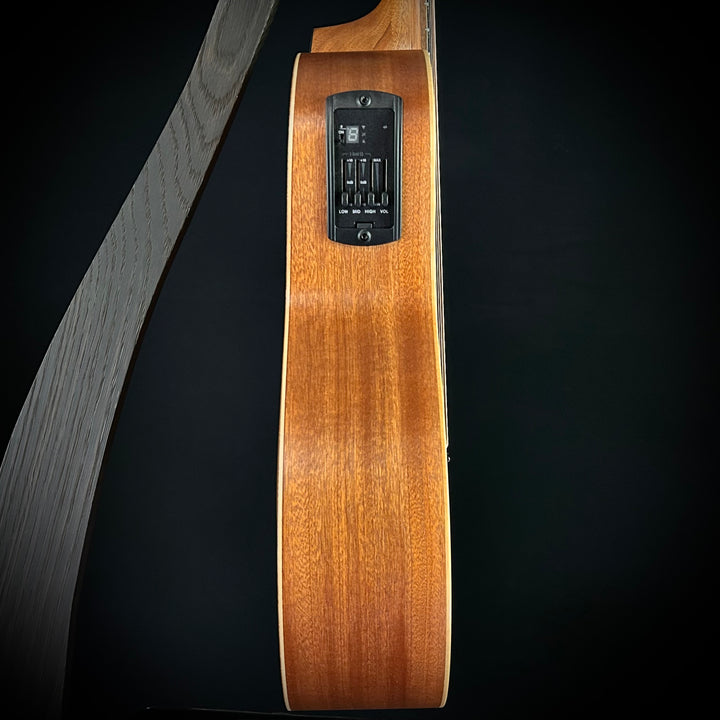 Taylor GS Mini-E Trans Black