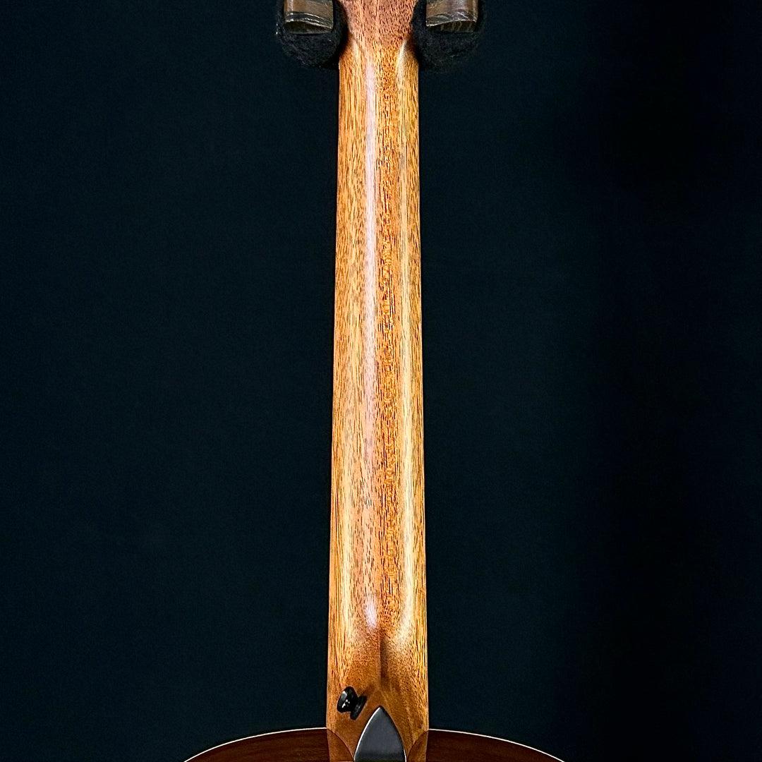 Taylor Gold Label 514E