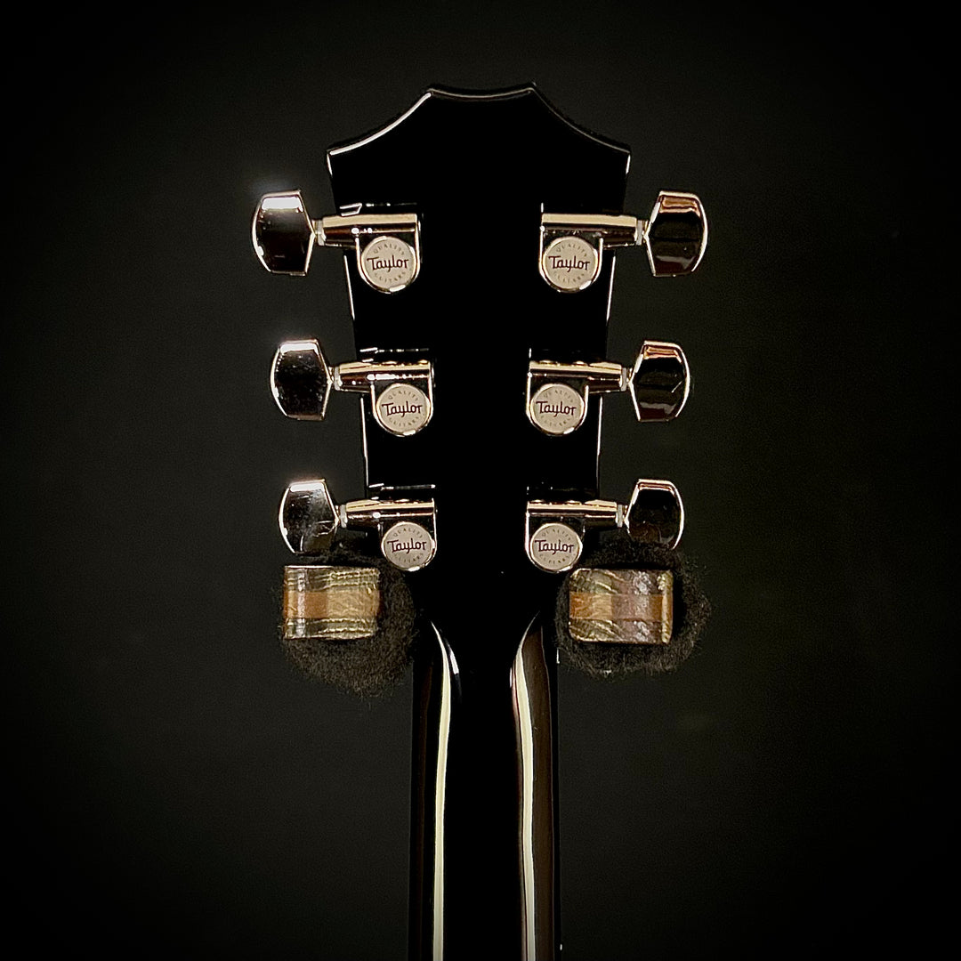 Taylor 2023 Custom #18 T5Z Urban Ash Flame Maple (USED)