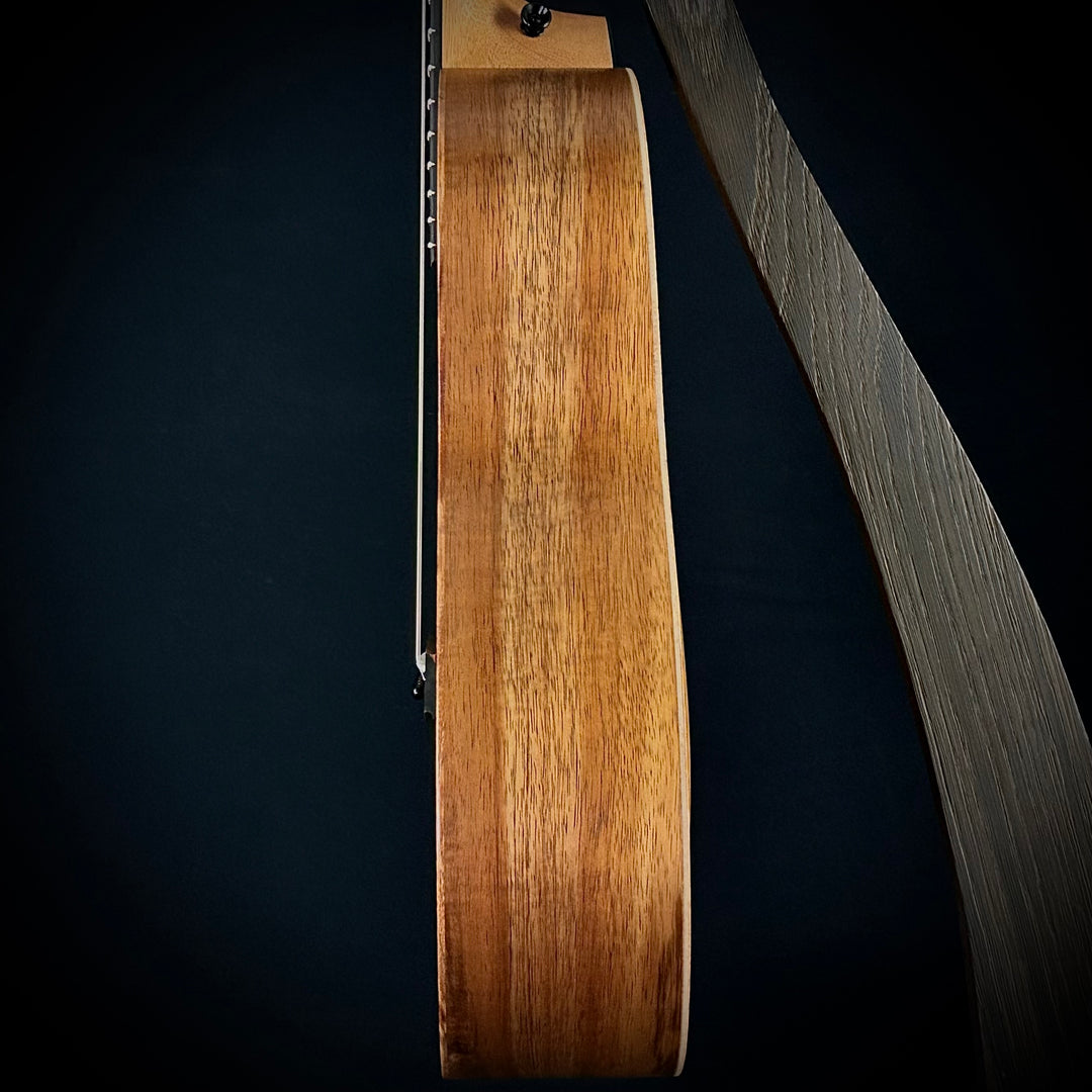 Taylor GS Mini-e Koa