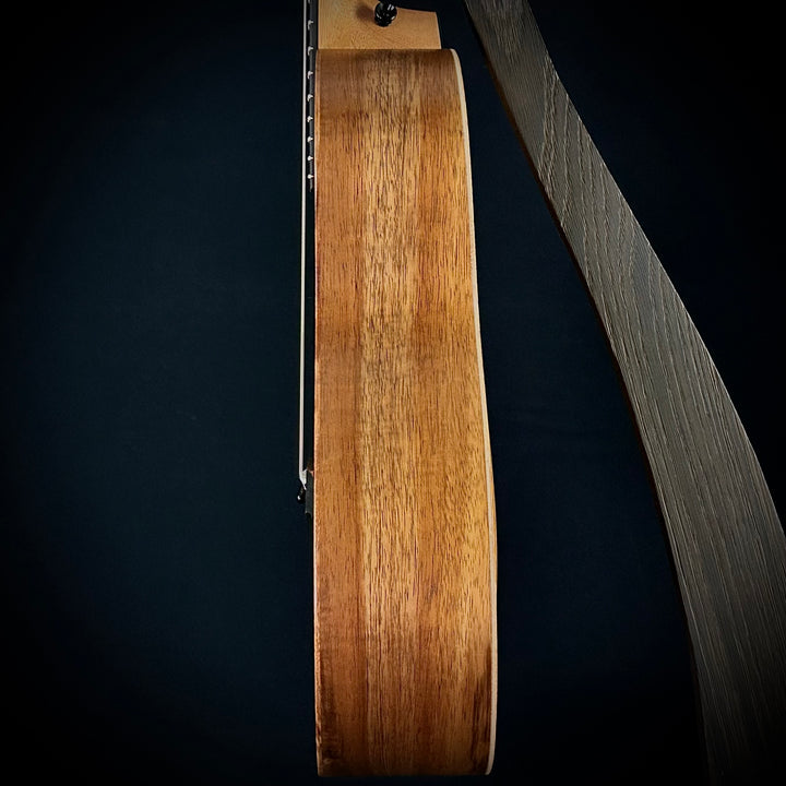 Taylor GS Mini-e Koa