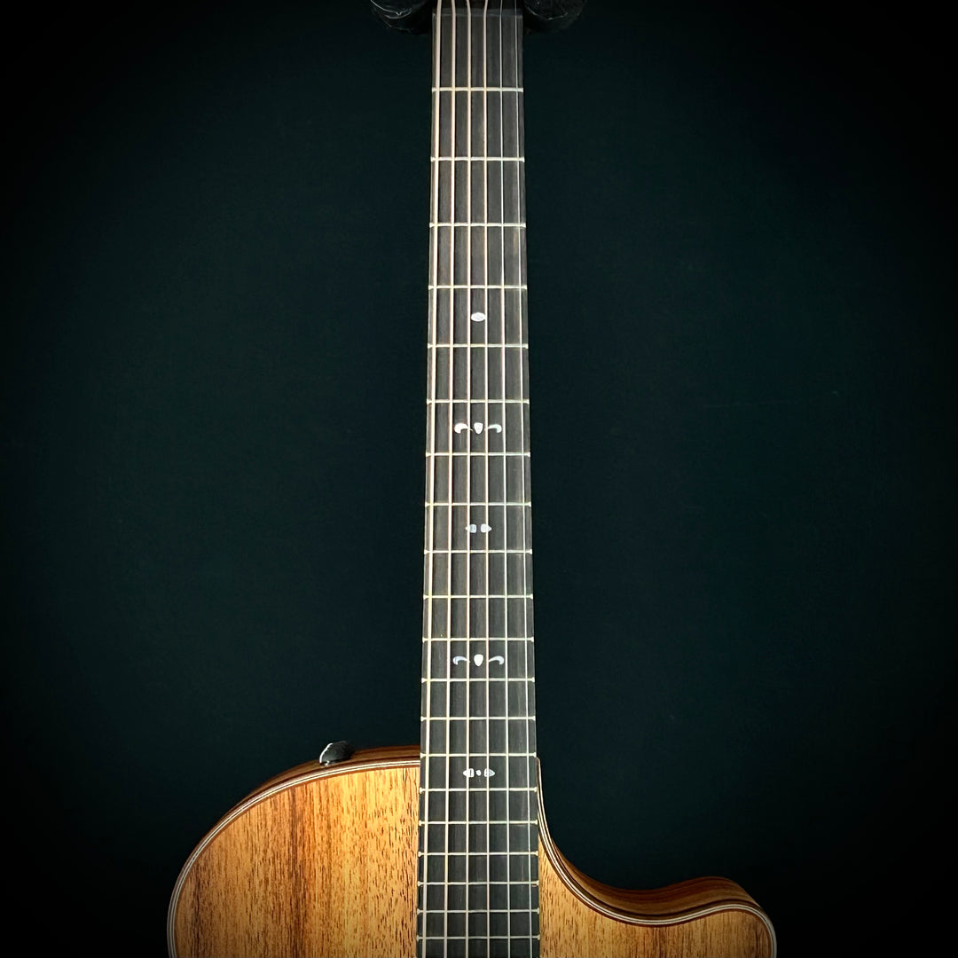 Taylor 724ce