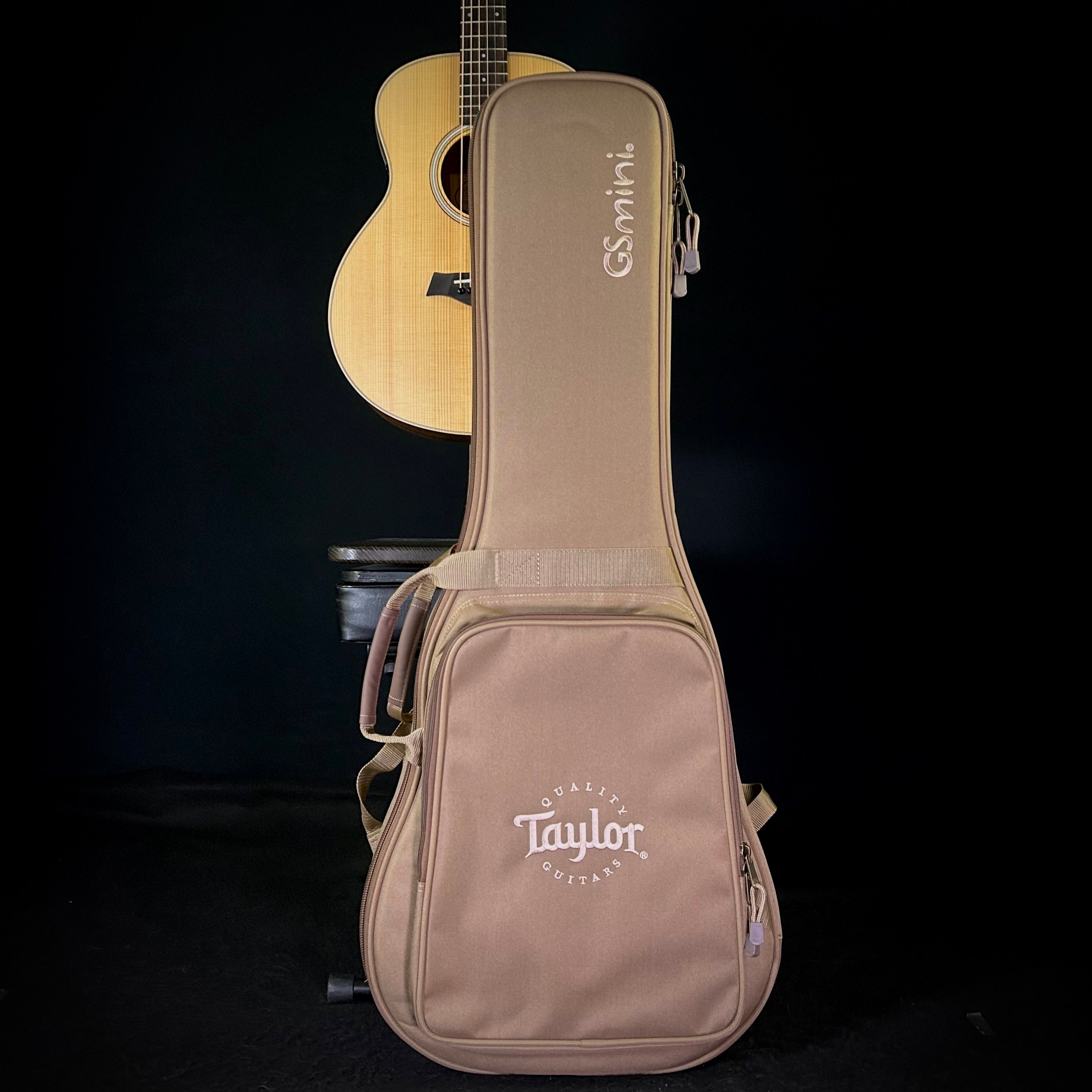 Taylor GS Mini-E Limited - Figured KOA – Music Villa MT
